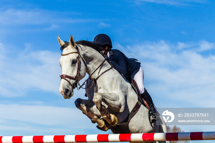 Horse Rider Jumping Pole Closeup Equestrian Action