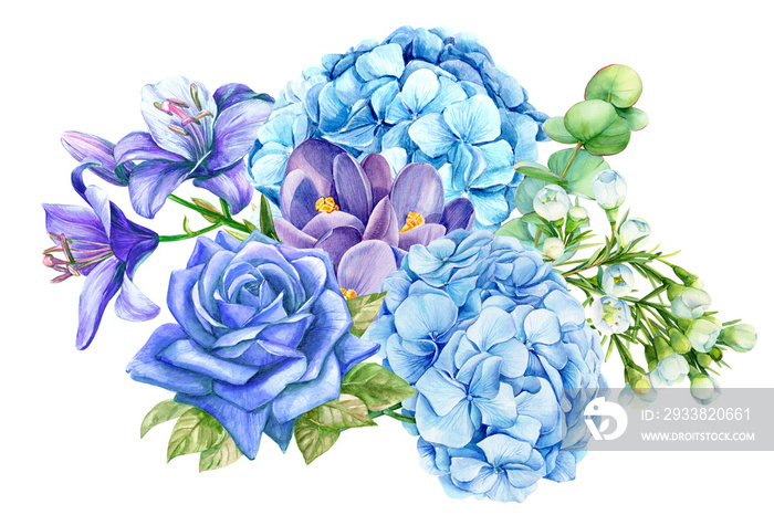 bouquet of blue flowers, rose, lily, hydrangeas, crocuses,  eucalyptus, succulent, watercolor illust