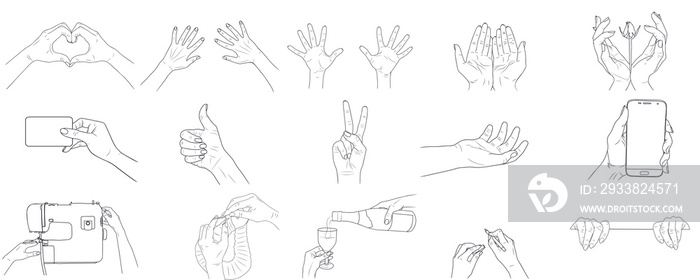 set sketch illustration -  womens hands.