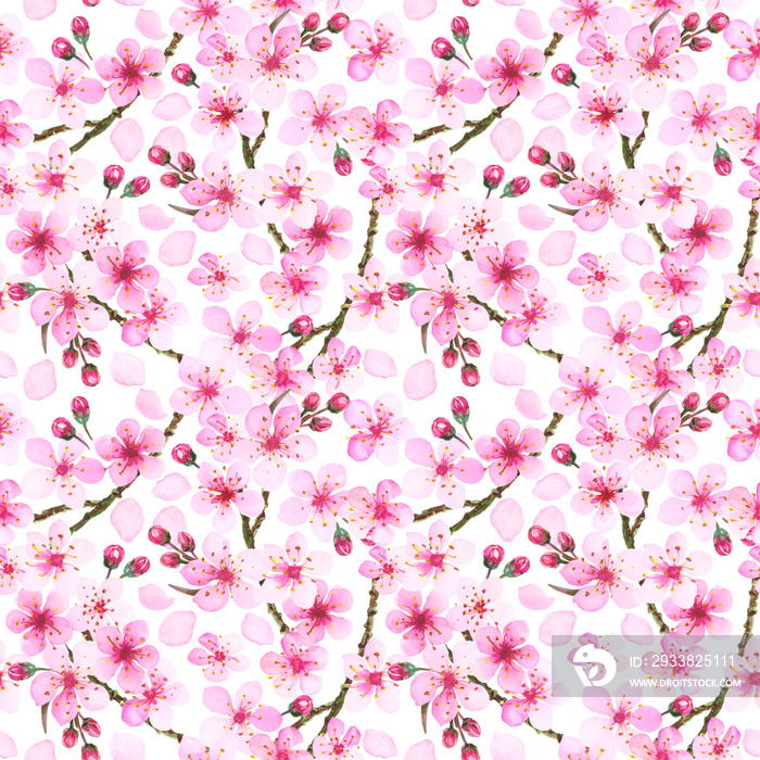 Watercolor illustration of pink cherry blossom. Hand painted spring time flower pattern.