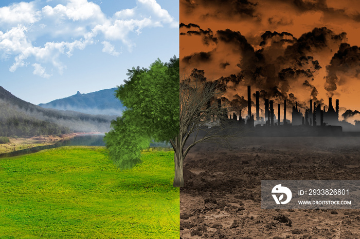 树木的生与死是全球变暖的概念。生命与污染造成的破坏。生态关注