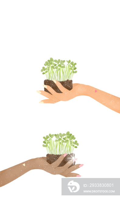 multi ethnic hands holding microgreen with sparkling stars on transparent background