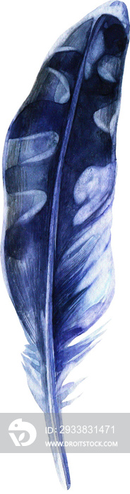 Watercolor Feathers and Leaves