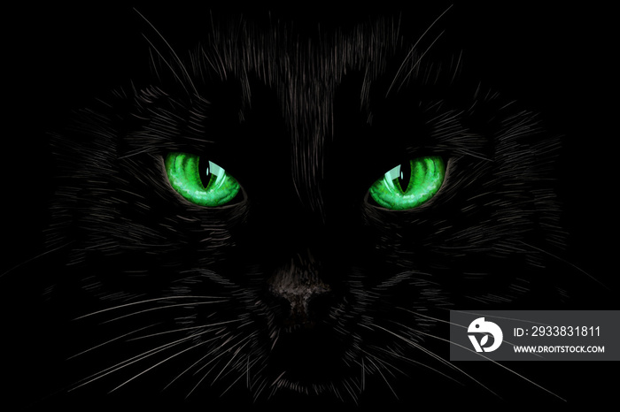 Black cats green eyes on black background. Halloween card, invitation, animal hand drawn illustrati