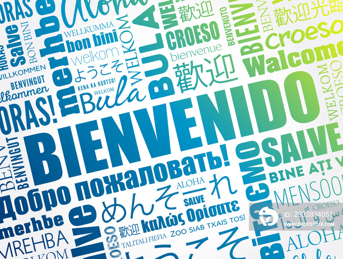 Bienvenido（西班牙语欢迎）不同语言的单词云，概念背景