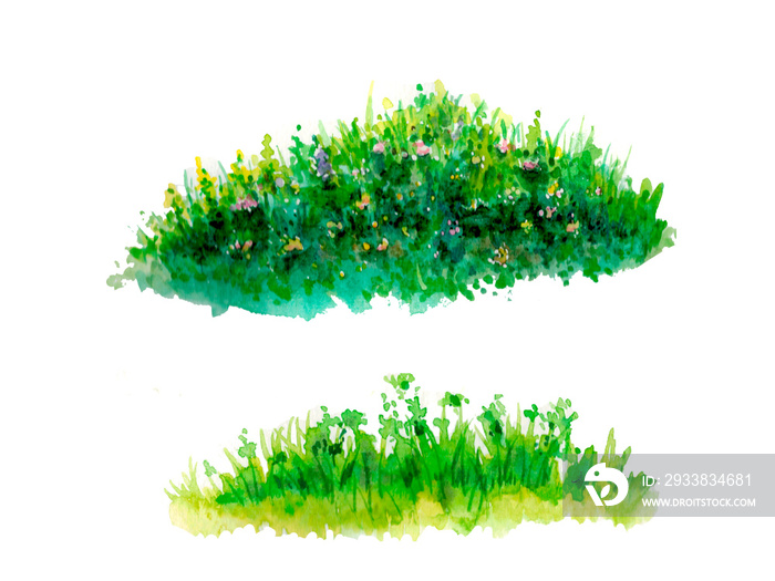 watercolor illustration of green grass with blooming wild yellow and red flowers.