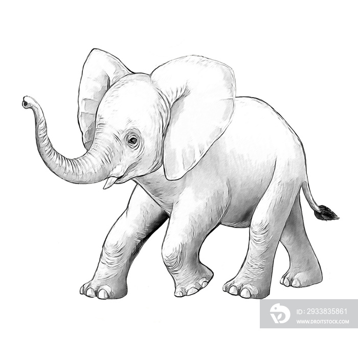 cartoon scene with little elephant on white background safari coloring page sketchbook illustration 