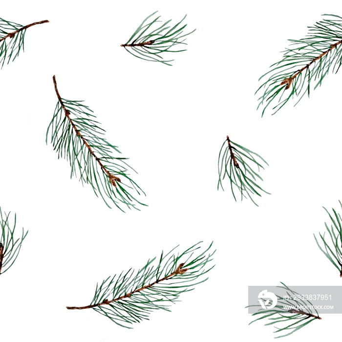 水彩手绘无缝图案，白色ba上有松针云杉树枝、树枝和圆锥体