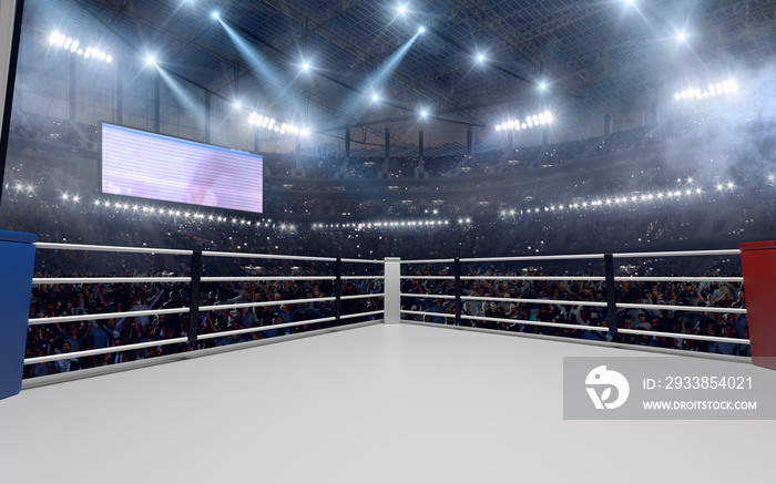 3D渲染拳击场。拳击场。