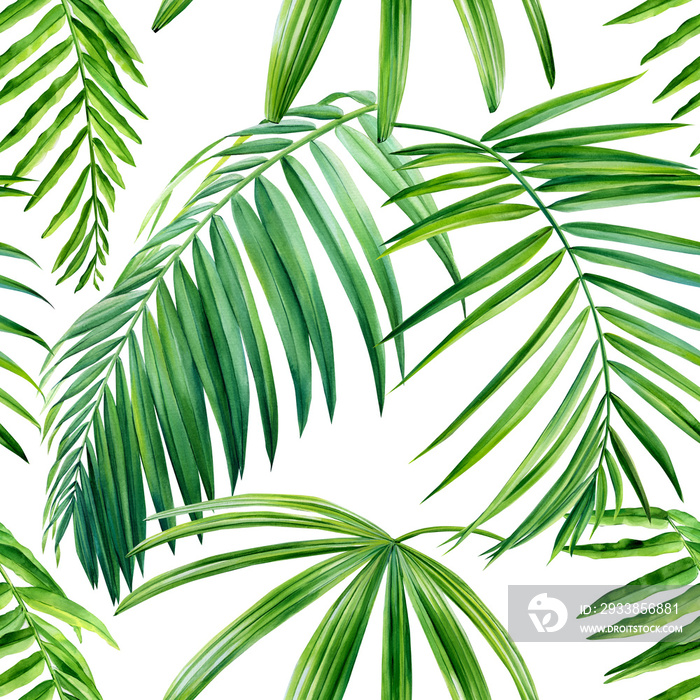 Palm leaves, tropical plant, watercolor botanical illustration. Seamless patterns.
