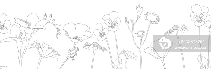 Hand-drawn wild hay flowers border.Botanical border. Good for cosmetics, medicine, treating, aromath