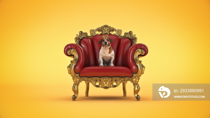 Dog with crown in a chair. 3d rendering