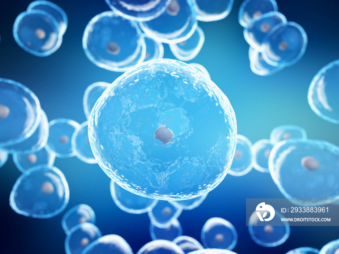 3d rendered illustration of generic human cells