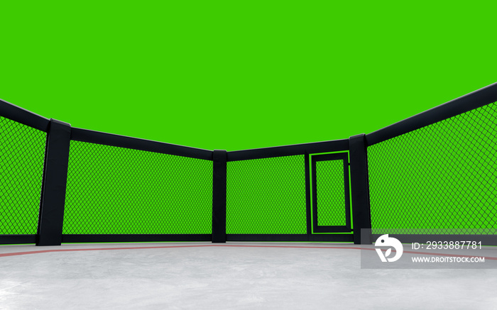 3D render MMA arena on green screen. MMA octagon cages.