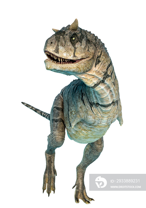 carnotaurus sastrei side view in a white background