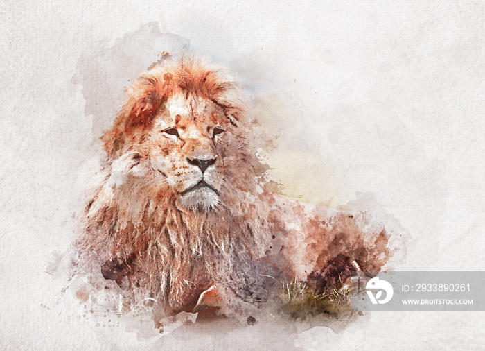 Watercolor painting of big proud lion