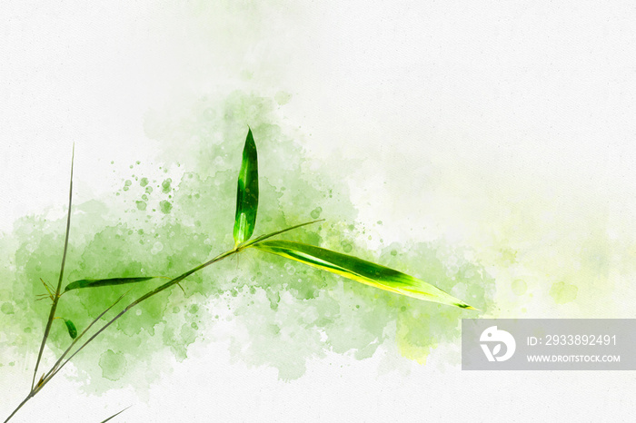 Abstract oriental background with green bamboo grass for your design