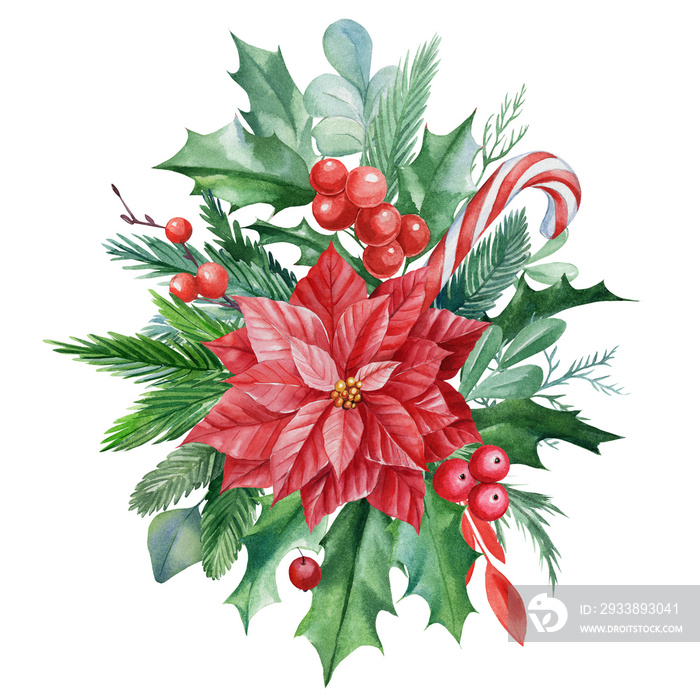 Christmas composition of poinsettia flower, leaves, red berries, holly on an isolated background, wa