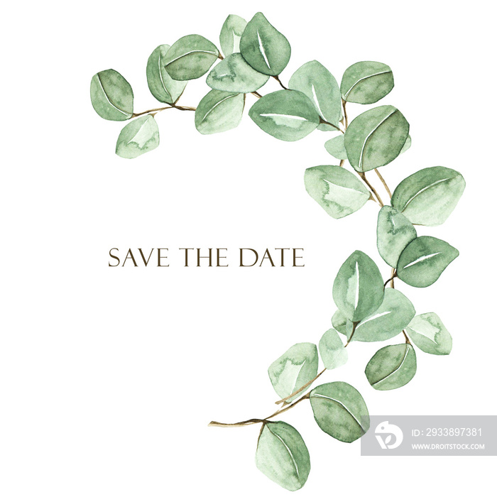 Watercolor branch with eucalyptus. Perfect for cards, wedding invitation, posters, save the date or 