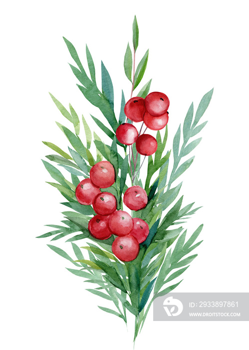 Christmas bouquet of leaves, red berries, holly on an isolated white background, watercolor drawing