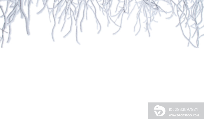 Winter frozen tree branch Photo overlays, Photoshop overlay, pine icy snow branch, png