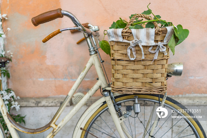 wicker basket with a decoration bouquet of plant on a vintage bicycle with pastel background.