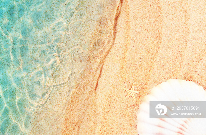 Starfish and seashell on the summer beach in sea water. Summer background. Summer time.