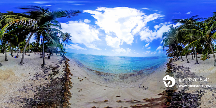 360 degrees view of Bois Jolan beach in Guadeloupe