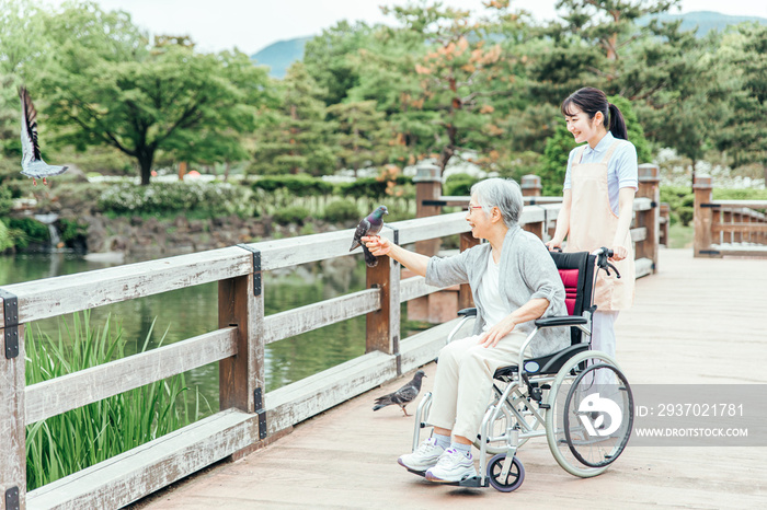 公園で散歩する高齢者と医療スタッフ（アニマルセラピー）