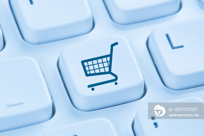 Online Shopping E-Commerce einkaufen Einkauf Internet blau Compu