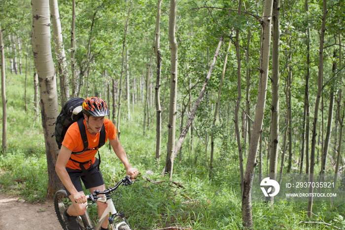 young adult man riding mountain bike in the woods