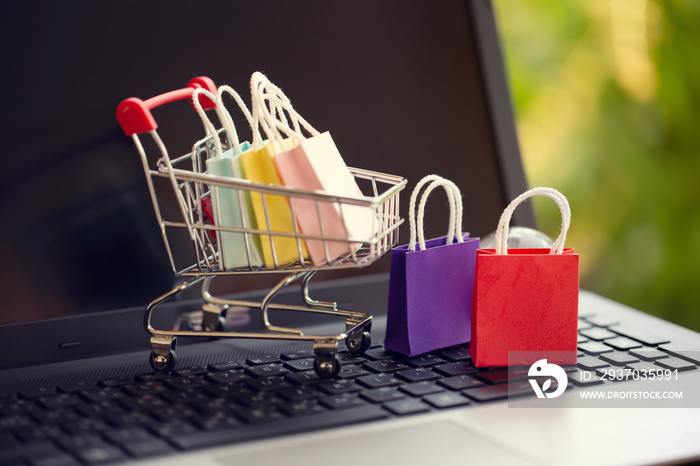 Online shopping, e-commerce concept: Paper shopping bags in a trolley or shopping cart  in the natur