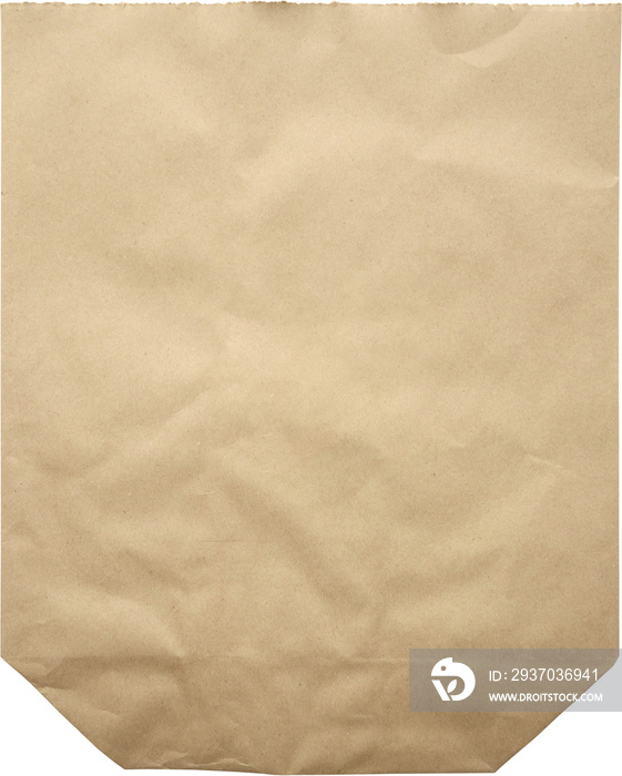 Brown recycle paper bag isolated