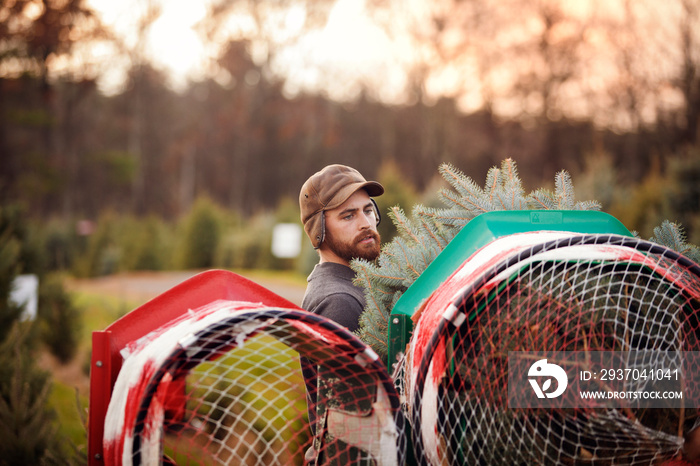 Young man packing spruce tree outdoors