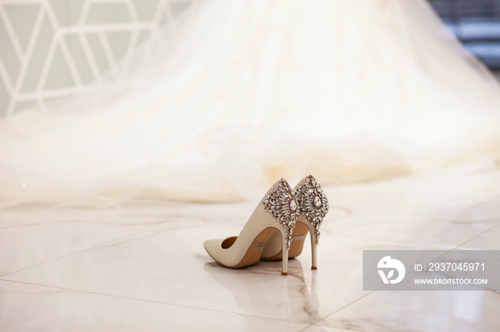 Elegant wedding shoes on the background of a beautiful long dress