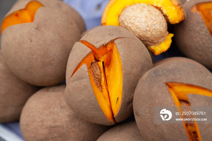 fresh zapote fruit