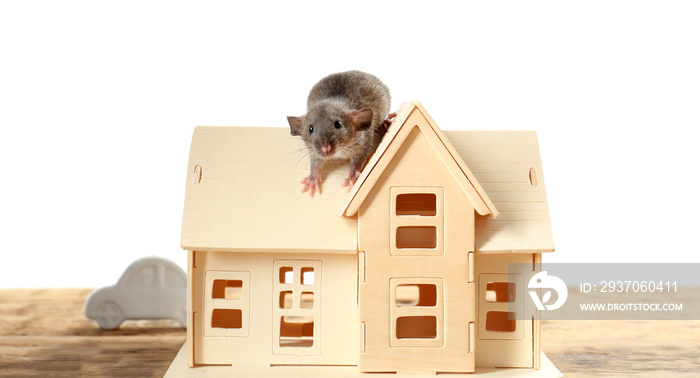 白色背景下木桌上可爱有趣的老鼠和装饰性房屋模型
