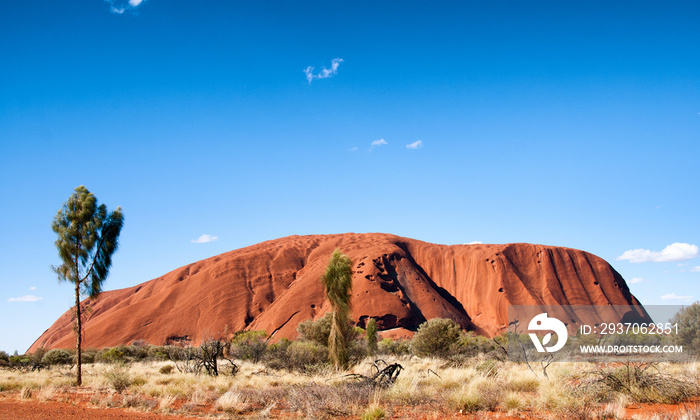 Magnificence of Australian Outback