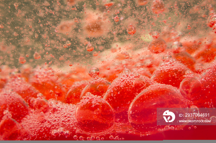 Red Blood Cells