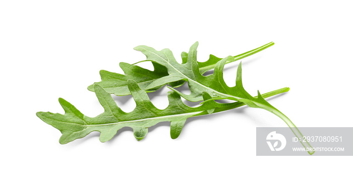 Fresh arugula on white background