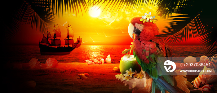 Papagei im Urlaub am Strand