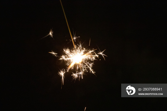 夏の夜の線香花火