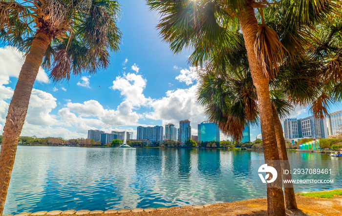 Palm trees with skyscrapers on the background in Lake Eola park in Orlando