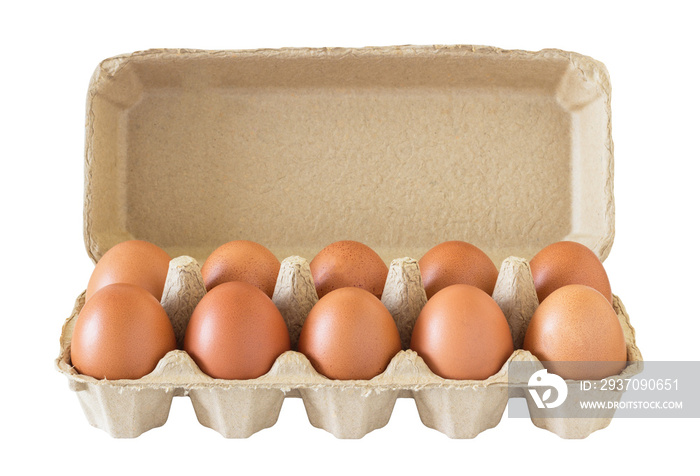 Carton of Fresh Egg