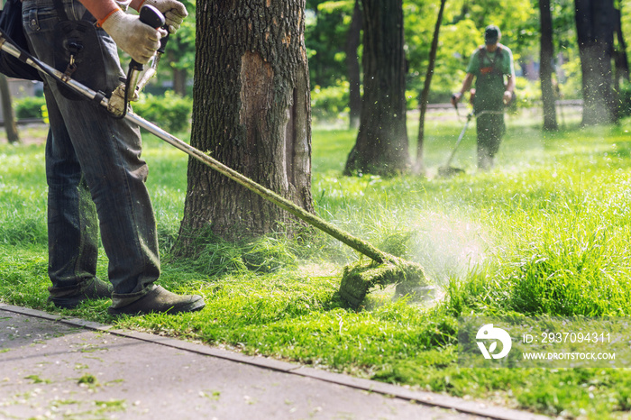 工人在城市公园或后院用电动或汽油割草机修剪高草。园艺
1774047917,架构