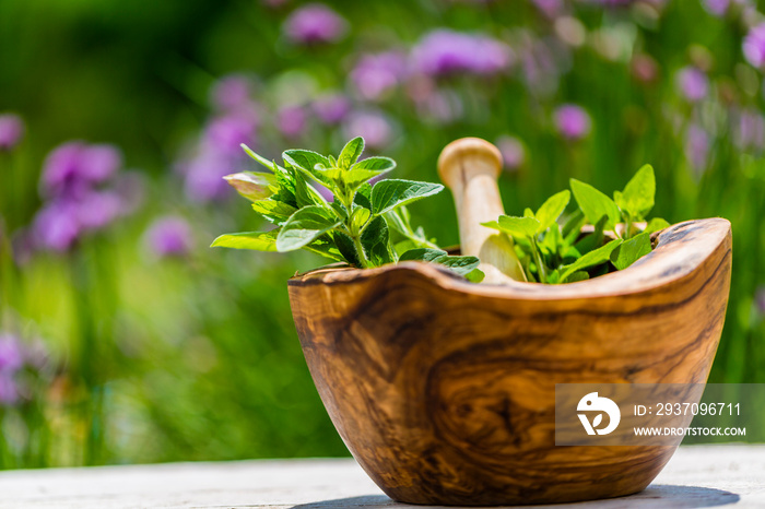 Fresh herbs from the garden in wooden olive mortar against with sunny garden background. Image