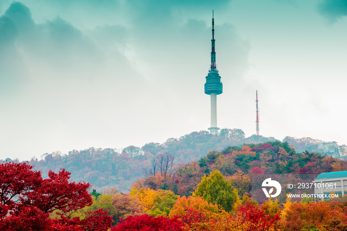 韩国的南山首尔塔和秋天的枫树山