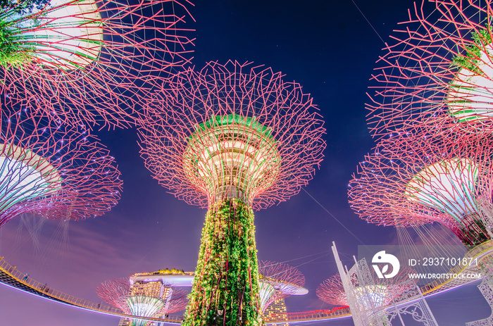 海湾花园的超级树木夜景。树状结构与环境相适应