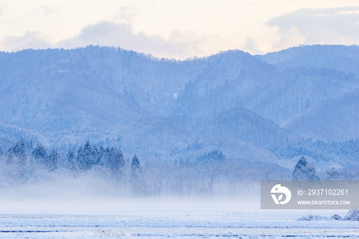 雪景色　冬の朝