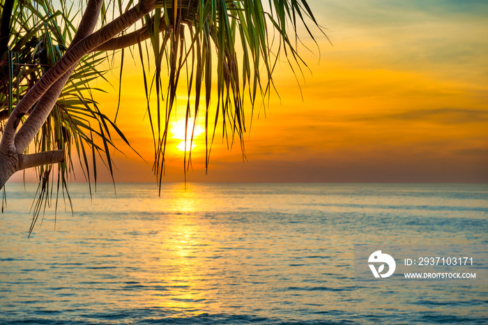 棕榈树热带海滩日落美景